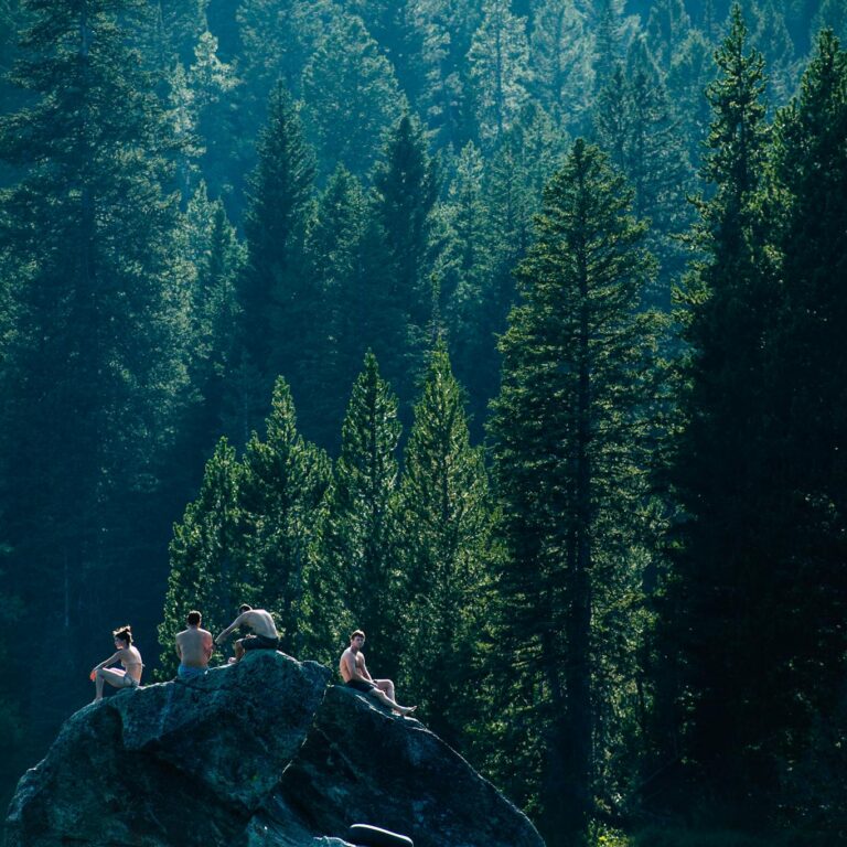 A group enjoys nature while perched on boulders in a dense forest, creating a sense of adventure.